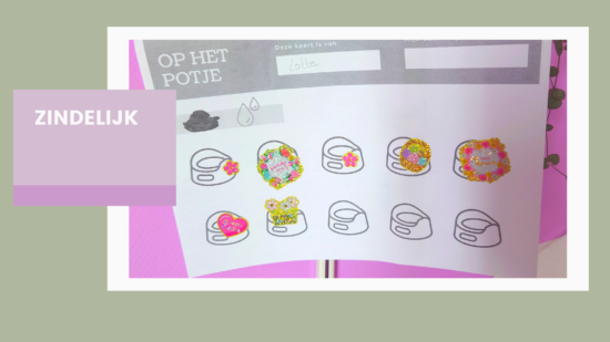 Lees meer over het artikel Zindelijk met beloningskaart